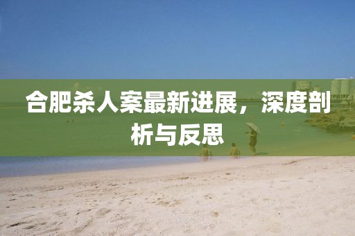 合肥杀人案最新进展，深度剖析与反思