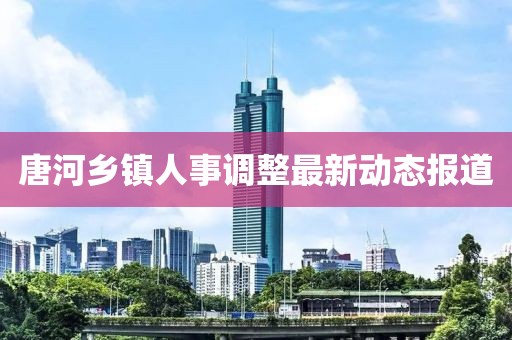 唐河乡镇人事调整最新动态报道