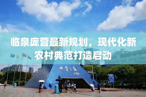 临泉庞营最新规划，现代化新农村典范打造启动