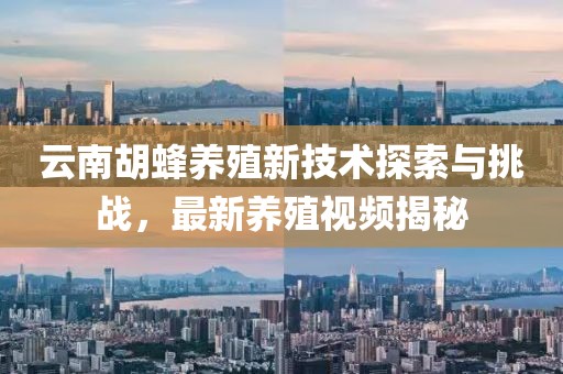 云南胡蜂养殖新技术探索与挑战，最新养殖视频揭秘