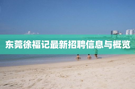 东莞徐福记最新招聘信息与概览