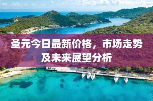 圣元今日最新价格，市场走势及未来展望分析