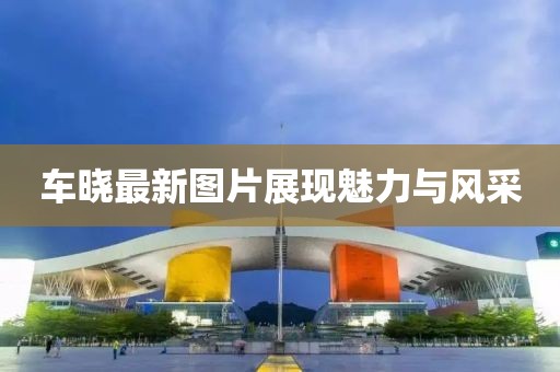 车晓最新图片展现魅力与风采