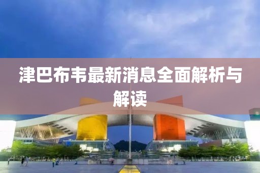 津巴布韦最新消息全面解析与解读