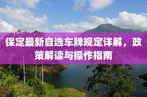 保定最新自选车牌规定详解，政策解读与操作指南