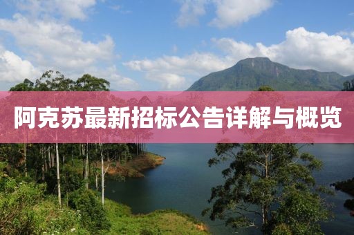 阿克苏最新招标公告详解与概览