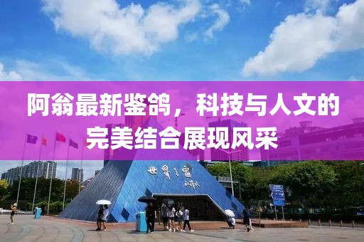 阿翁最新鉴鸽，科技与人文的完美结合展现风采