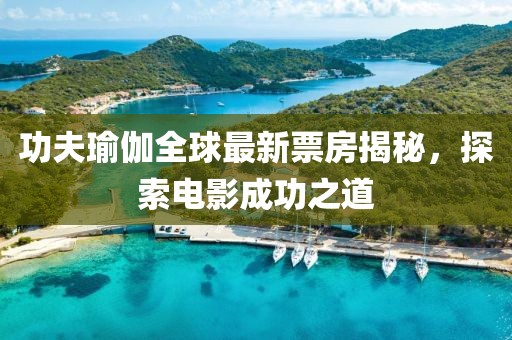 功夫瑜伽全球最新票房揭秘，探索电影成功之道