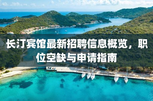 长汀宾馆最新招聘信息概览，职位空缺与申请指南