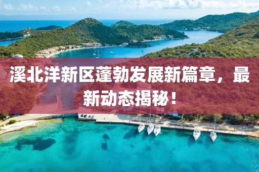 溪北洋新区蓬勃发展新篇章，最新动态揭秘！