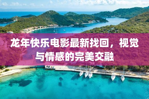 龙年快乐电影最新找回，视觉与情感的完美交融