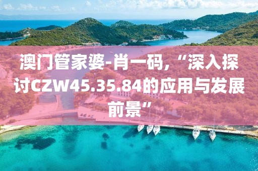 澳门管家婆-肖一码,“深入探讨CZW45.35.84的应用与发展前景”
