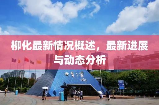 柳化最新情况概述，最新进展与动态分析