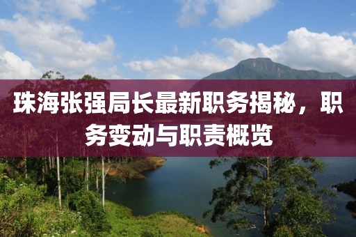 珠海张强局长最新职务揭秘，职务变动与职责概览