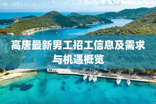 高唐最新男工招工信息及需求与机遇概览