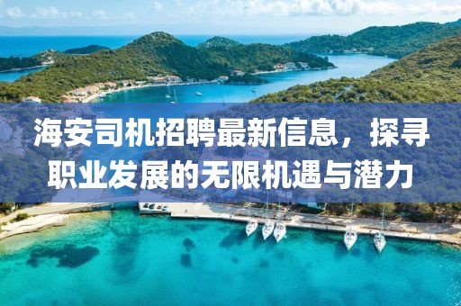 海安司机招聘最新信息，探寻职业发展的无限机遇与潜力