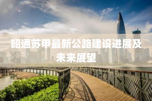昭通苏甲最新公路建设进展及未来展望