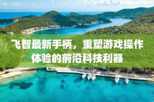 飞智最新手柄，重塑游戏操作体验的前沿科技利器
