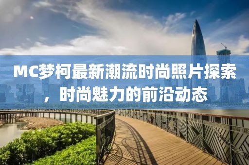 荊机 第5页