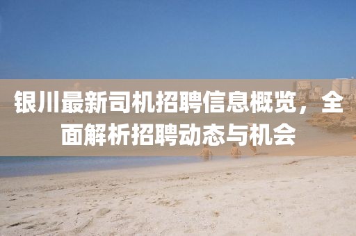 银川最新司机招聘信息概览，全面解析招聘动态与机会