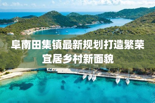 阜南田集镇最新规划打造繁荣宜居乡村新面貌