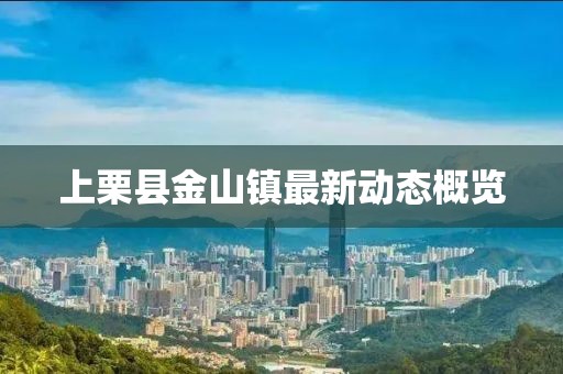 上栗县金山镇最新动态概览