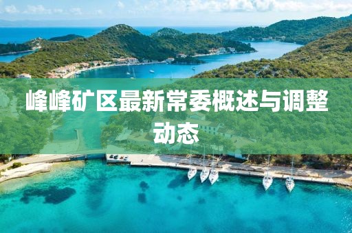 峰峰矿区最新常委概述与调整动态