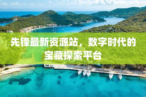 先锋最新资源站，数字时代的宝藏探索平台