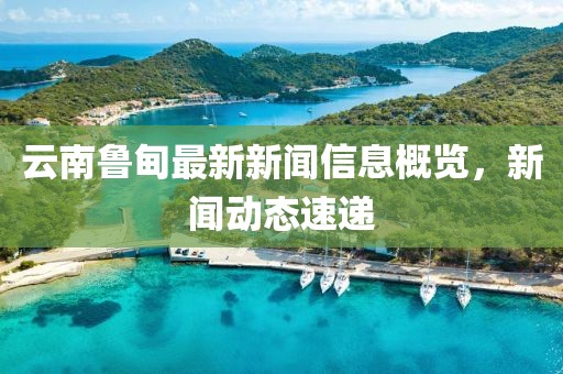 云南鲁甸最新新闻信息概览，新闻动态速递