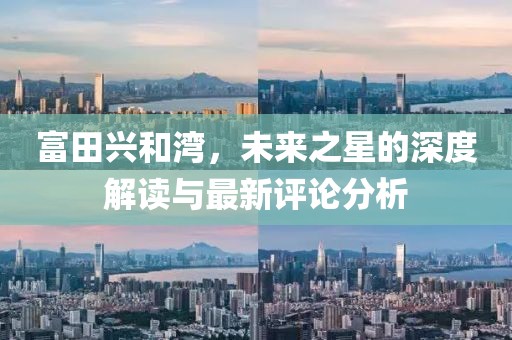 富田兴和湾，未来之星的深度解读与最新评论分析