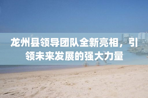 龙州县领导团队全新亮相，引领未来发展的强大力量