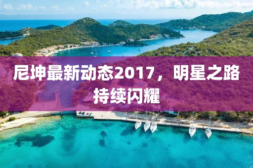 尼坤最新动态2017，明星之路持续闪耀
