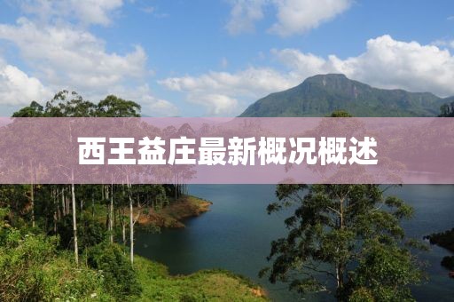 西王益庄最新概况概述