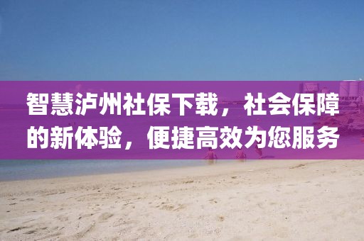 智慧泸州社保下载，社会保障的新体验，便捷高效为您服务