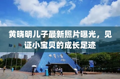 孤者 第4页