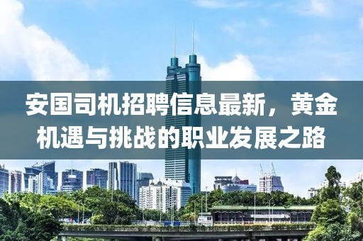 安国司机招聘信息最新，黄金机遇与挑战的职业发展之路
