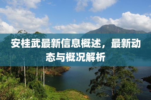 安桂武最新信息概述，最新动态与概况解析