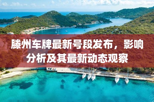 滕州车牌最新号段发布，影响分析及其最新动态观察