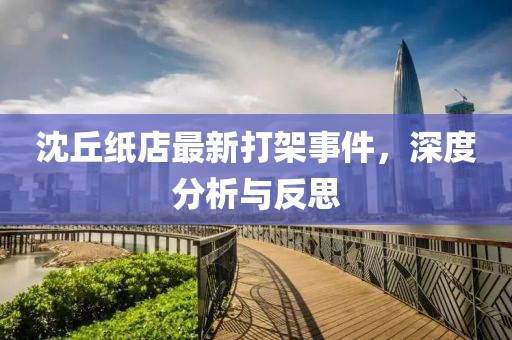 沈丘纸店最新打架事件，深度分析与反思