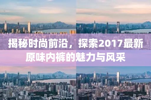 揭秘时尚前沿，探索2017最新原味内裤的魅力与风采