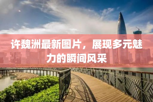 许魏洲最新图片，展现多元魅力的瞬间风采