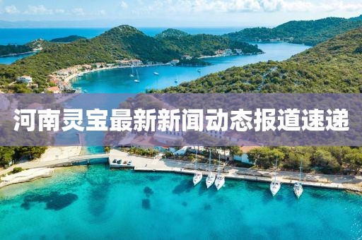 河南灵宝最新新闻动态报道速递