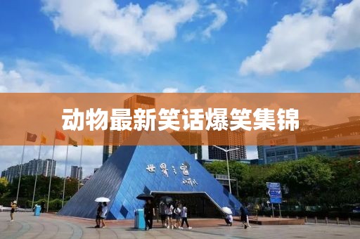 动物最新笑话爆笑集锦