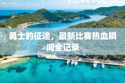 勇士的征途，最新比赛热血瞬间全记录