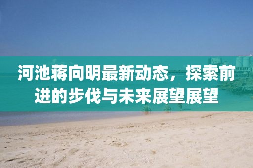 河池蒋向明最新动态，探索前进的步伐与未来展望展望