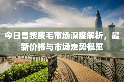 今日昌黎皮毛市场深度解析，最新价格与市场走势概览