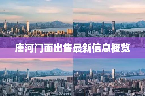 唐河门面出售最新信息概览