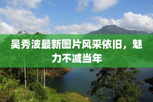 吴秀波最新图片风采依旧，魅力不减当年
