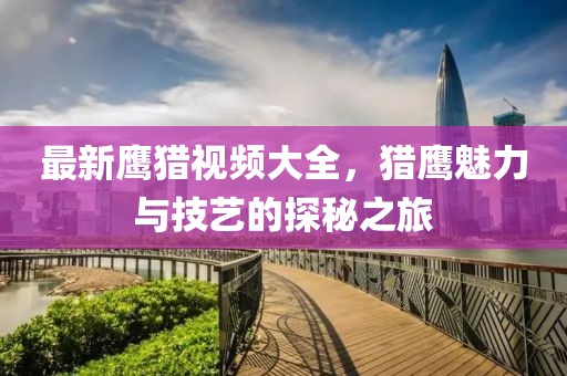 最新鹰猎视频大全，猎鹰魅力与技艺的探秘之旅