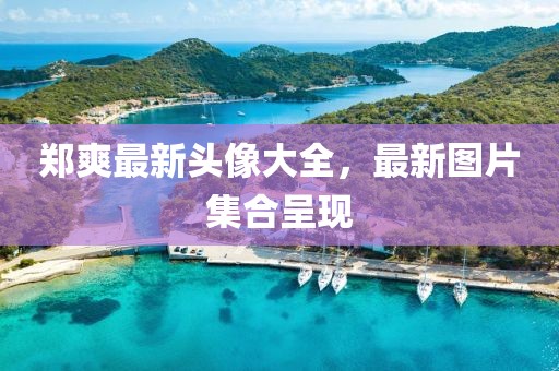 郑爽最新头像大全，最新图片集合呈现
